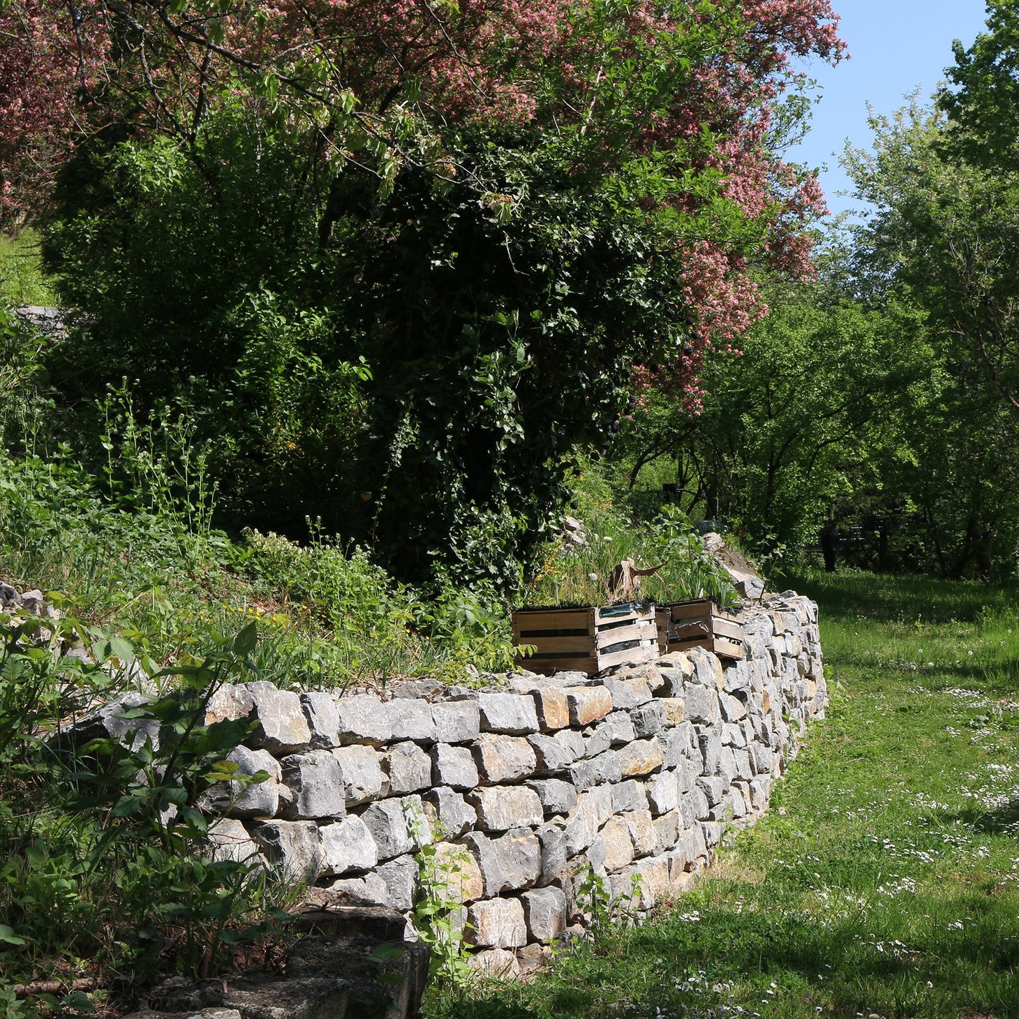 Garten mit Trockenmauer