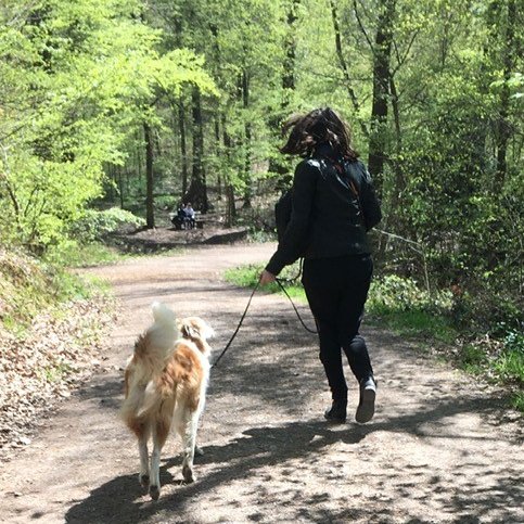 Teilnehmerin geht mit Hund im Wald spazieren