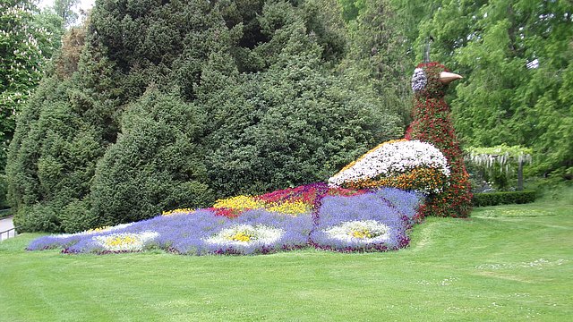 Blumenfigur in Form eines Pfaus in einem Park.