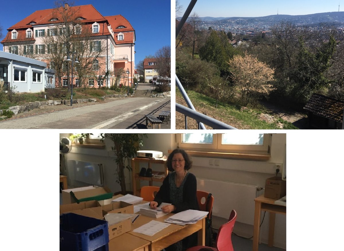 Bildercollage: Schulhaus am Kräherwald, Ausblick über Stuttgart vom Kräherwald aus, Annik Aicher beim Verpacken der Nikoaktuell