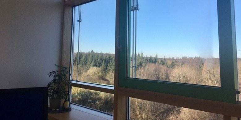 Blick aus dem Bürofenster auf einen Wald, der Himmel ist wolkenlos blau. 