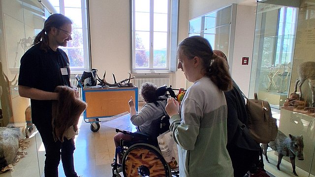 In einem hellen Raum mit Fenstern befinden sich auf der linken und rechten Seite Glasvitrinen. In der Mitte steht der Museumsführer, und drei Klientinnen. Eine davon sitzt in einem Rollstuhl