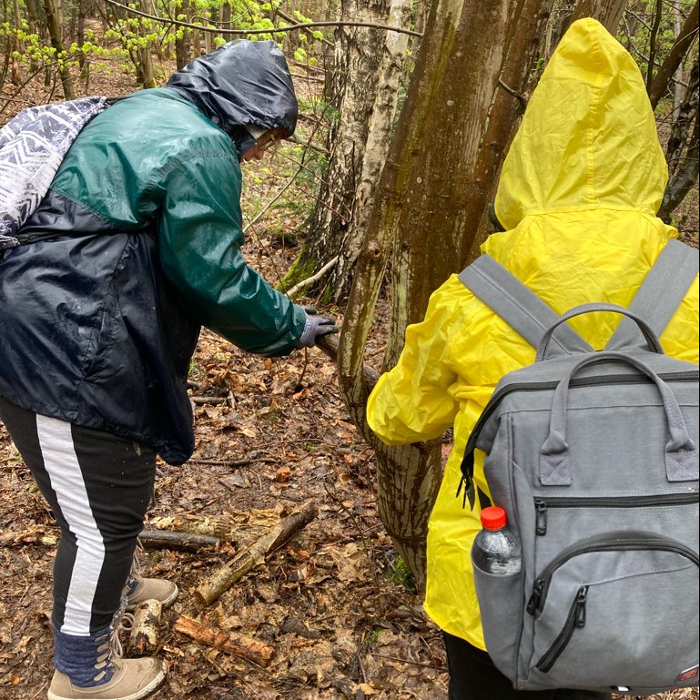 Zwei Teilnehmende in Regenjacken sammeln im Wald Stöcke