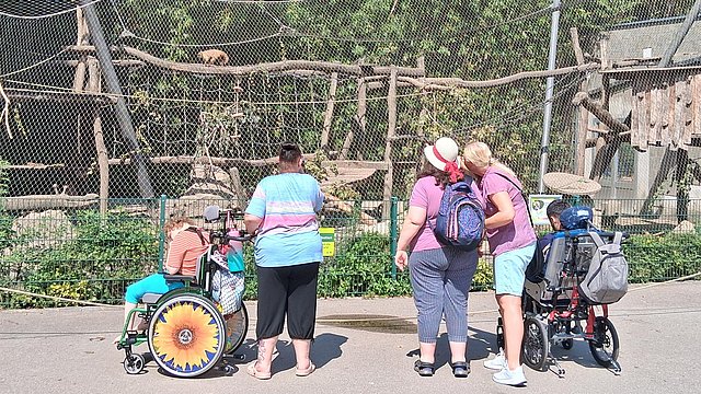 Fünf Personen stehen vor einem Affengehege im Zoo und sehen sich die Tiere an. Zwei der Personen sitzen im Rollstuhl
